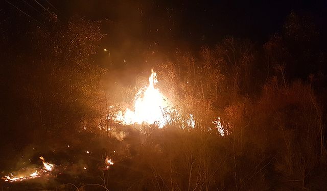 Boş arazide çıkan örtü yangını itfaiye tarafından söndürüldü