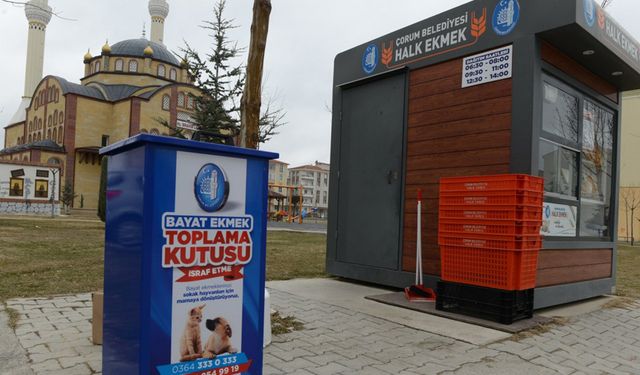 Çorum'da bayat ekmekler sokak hayvanlarına can oluyor!