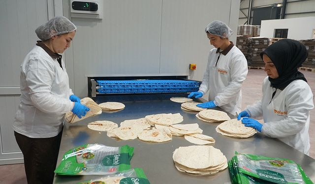 Osmancık'tan üretiliyor, dünyaya satılıyor: Yeni Tortilla Fabrikası ilk ihracatını yaptı