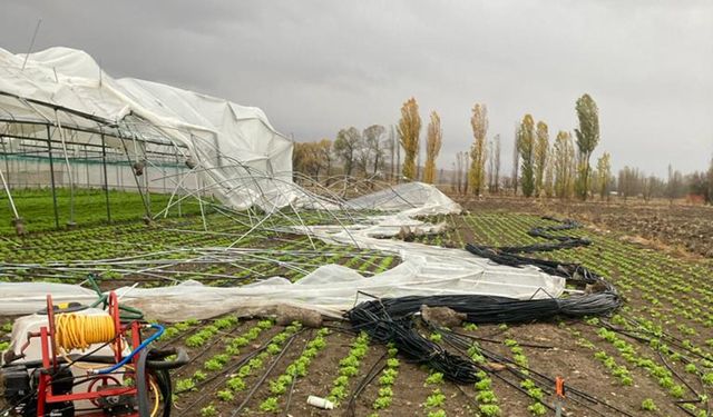 500 bin liralık zarar: Çorum'un bu köyünde fırtına seraları vurdu