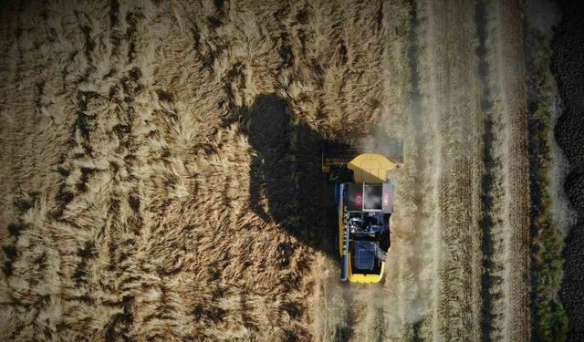 Tarım başkenti Konya, 13 üründe üretim miktarı olarak Türkiye’de ilk sırada