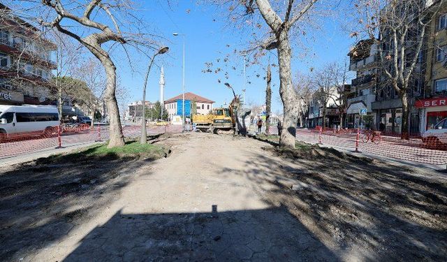 Sakarya'da Karaağaç bambaşka olacak