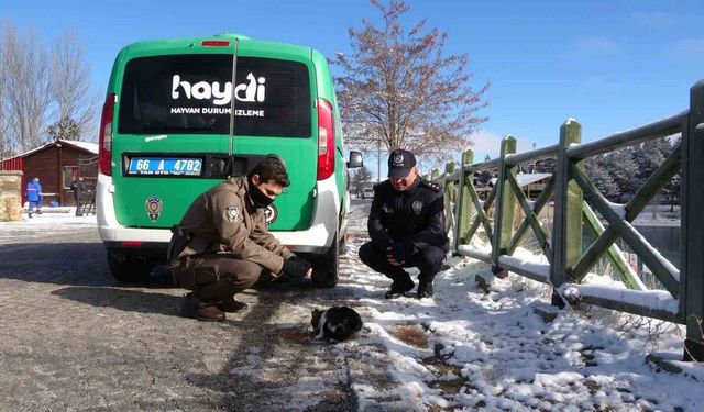 Yozgat’ta polis ekipleri sokak hayvanlarını unutmadı