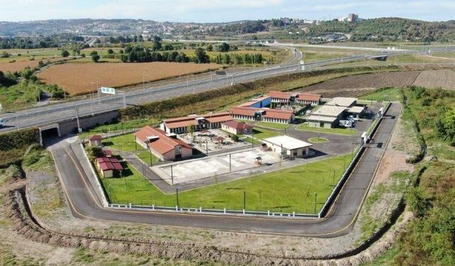Sakarya'daki modern rehabilitasyon merkezi can dostlara umut oldu