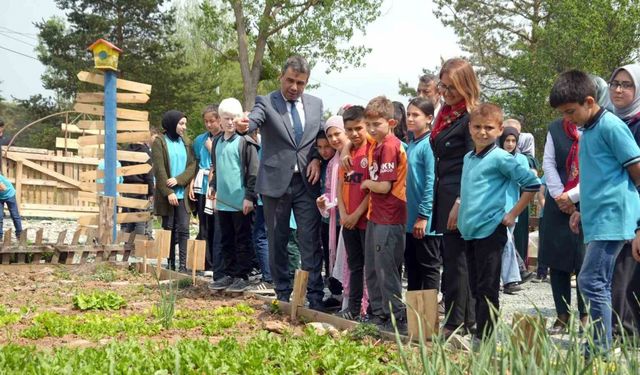 Atıl arazi seraya dönüştürüldü, öğrenciler tarımsal üretime başladı