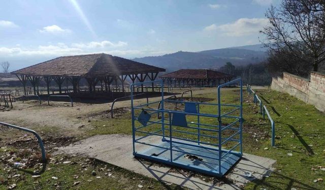 Kastamonu’da hayvan pazarı bir kez daha kapatıldı