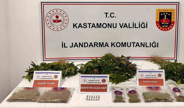 Kastamonu’da 371 kök kenevir ele geçirildi: 1 tutuklama