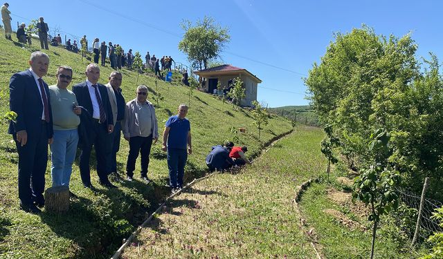 Mecitözülü çiftçiler Salep Hasat Şenliği'ne katıldı