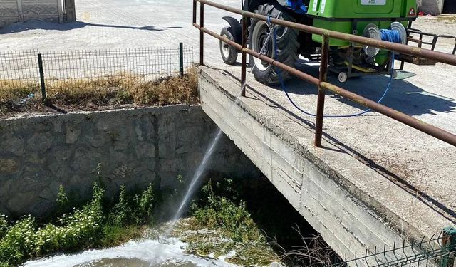 Alaca'da vektörel mücadele çalışmaları hızlandı