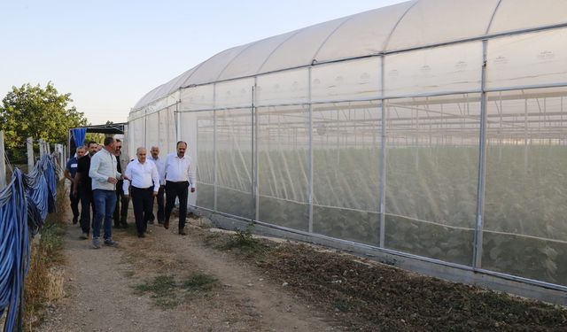 Çorum Valisi Dağlı'dan İskilip Yolundaki Seralara Ziyaret