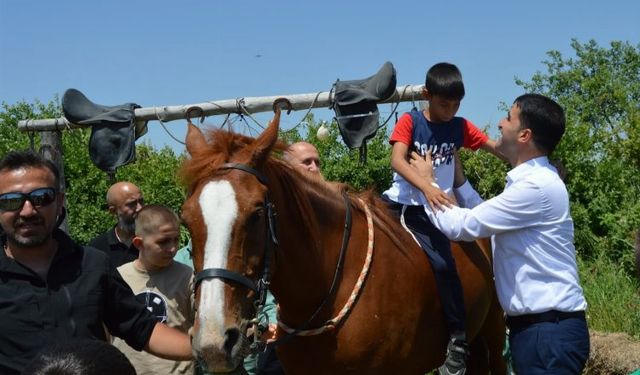 Edirne İpsala'da da özel eğitimde hipoterapi eğitimleri tamamlandı