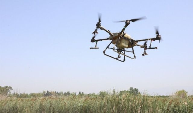 Hatay'da droneli ilaçlama başladı