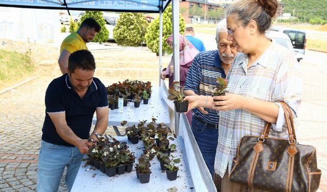 Kocaeli bayramda 'çiçek' gibi