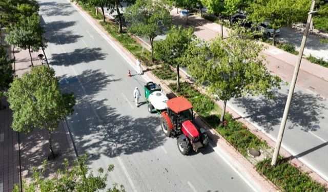 Konya Selçuklu'da haşerelere karşı etkin mücadele