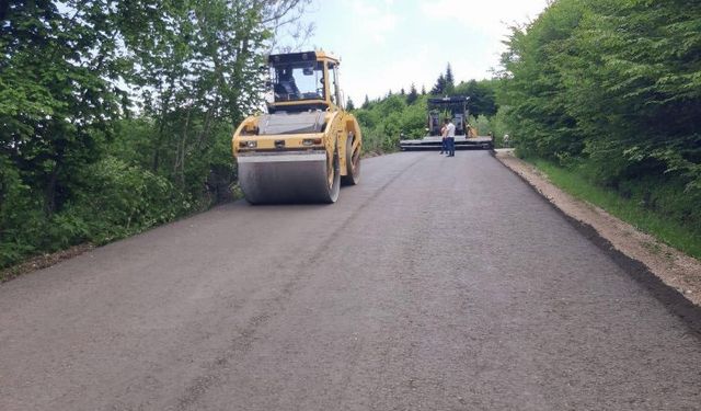 Ordu'da asfalt işlerine devam