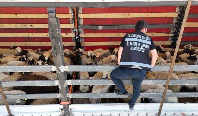 43 ilin geçiş güzergahında kurbanlık sevkiyatına sıkı denetim: Tırlar tek tek durduruldu