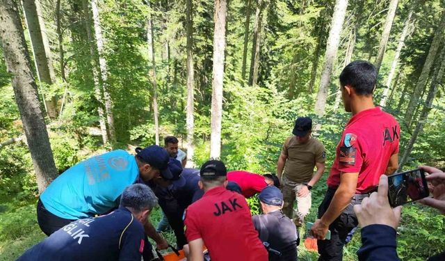 9 gündür kayıp olarak aranan kadın, ormanlık alanda bulundu