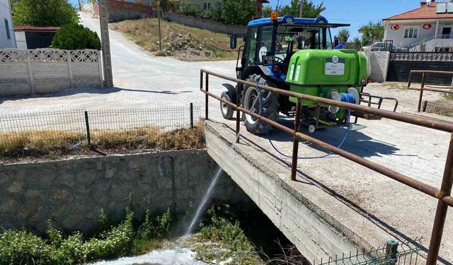 Alaca’da Sinek ve Sivrisinekle Yoğun Mücadele: Belediye Ekipleri Sahada!