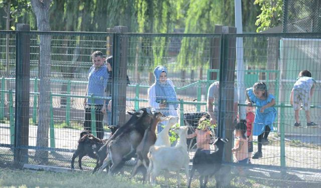 Büyükşehir Hayvanat Bahçesi’nin misafirlerine bayramda ziyaretçi akını