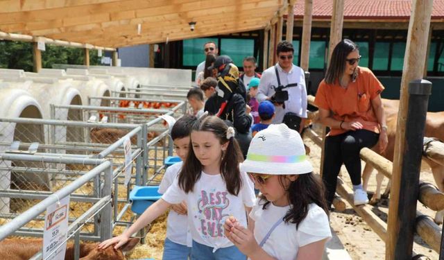 Dünya Süt Günü’nü coşkuyla kutlandılar