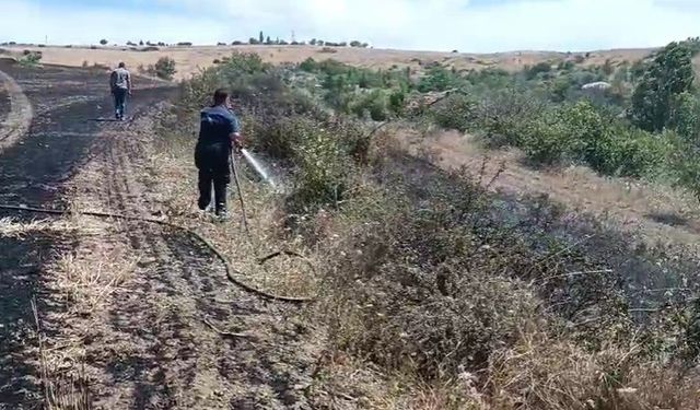 Ekili tarım arazisinde korkutan yangın