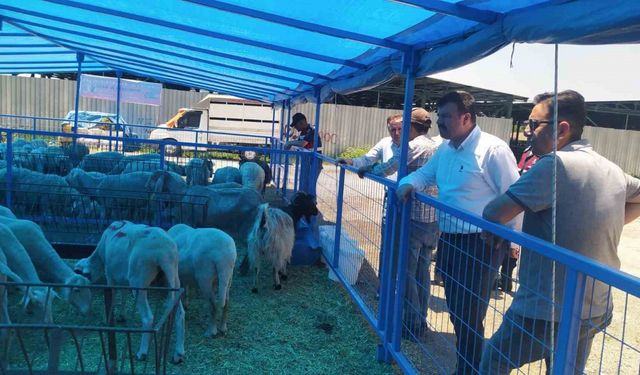 Gümüş: “Kurban Bayramı için her türlü hazırlık yapıldı, gerekli önlemler alındı”