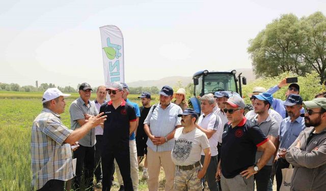 İnönü ilçesindeki Tarla Günü’nde 12 buğday çeşidi tanıtıldı