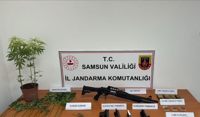 Jandarmadan uyuşturucu ve silah operasyonu: 2 gözaltı