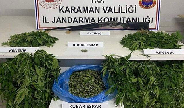 Karaman’da kenevir operasyonu: 1 tutuklama