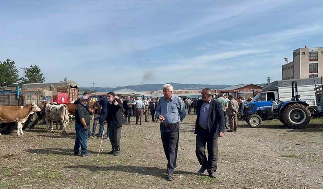 Kastamonu’da hayvan pazarında Kurban Bayramı öncesinde hareketlilik