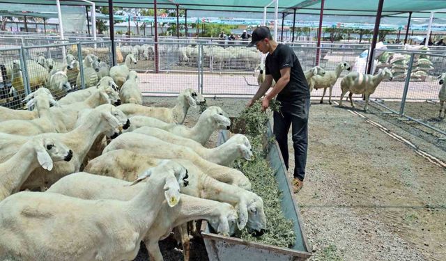 “Kayseri’de bir numara Talas Belediyesi”