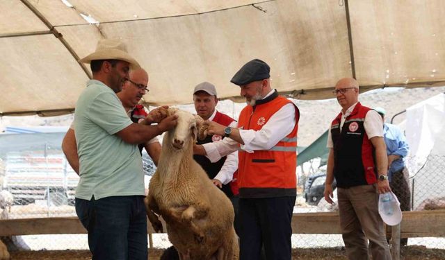 Kayseri’de tek, Türkiye’ye ise örnek olan profesyonel kurban hizmeti bayrama hazır