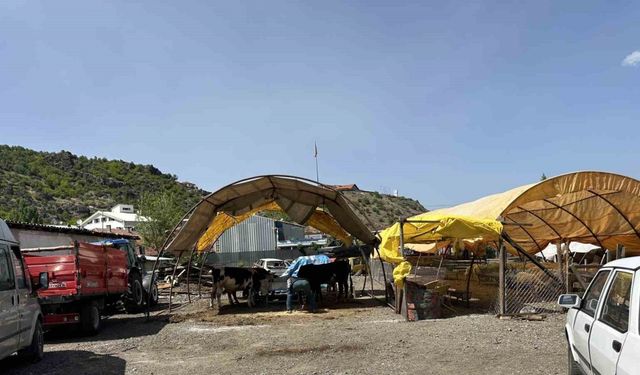 Kızılcahamam’da kurban pazarı kuruldu