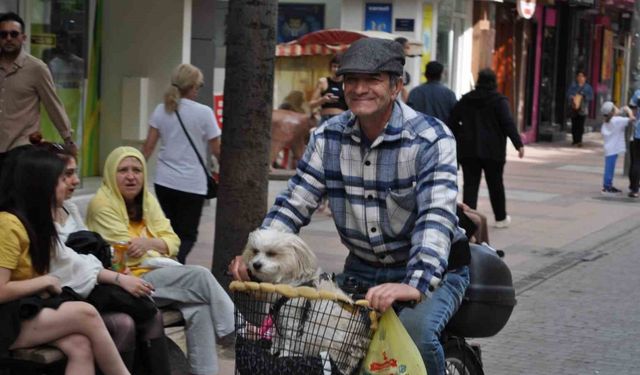 Köpeğini bisikletinin sepetine koyup güzel havanın tadını çıkardı