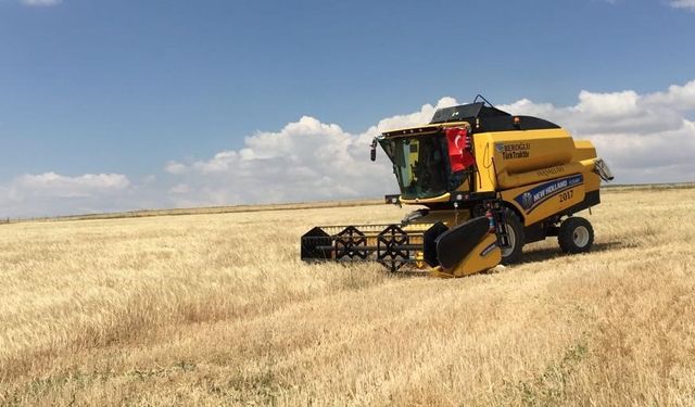 Kulu’da tarım alanlarında hasat başladı