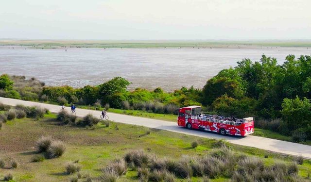 Samsun'un Doğa Harikası: Kızılırmak Deltası Kuş Cenneti Bayramda İlgi Odağı Oldu