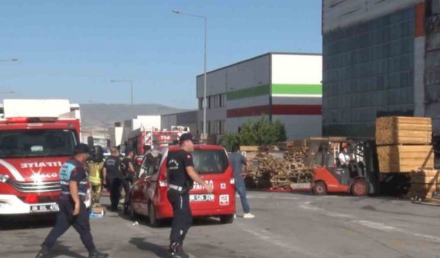 Palet fabrikasında korkutan yangın