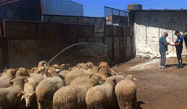 Polisler kurban satış pazarındaki esnafı dolandırıcılık ve hırsızlık olaylarına karşı bilgilendirdi