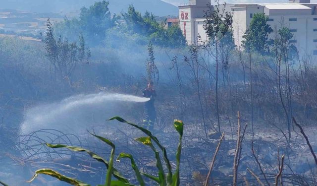 Samsun’da boş arazide yangın çıktı