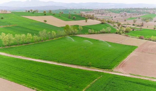 Samsun’da bu sezon 445 bin 130 dekar tarım arazisi sulanacak