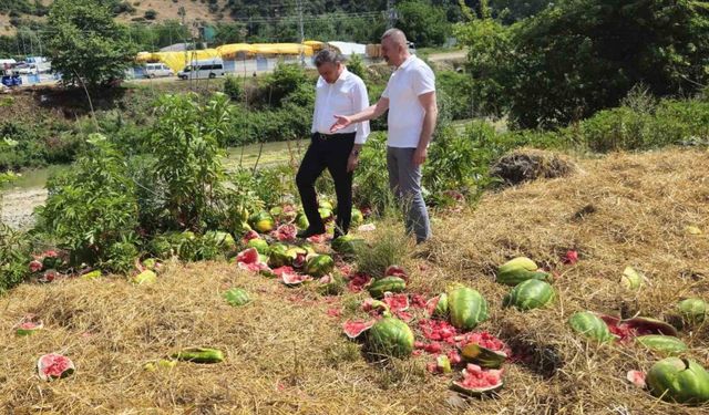 Samsun’da ırmak kenarına karpuz dökmeye inceleme