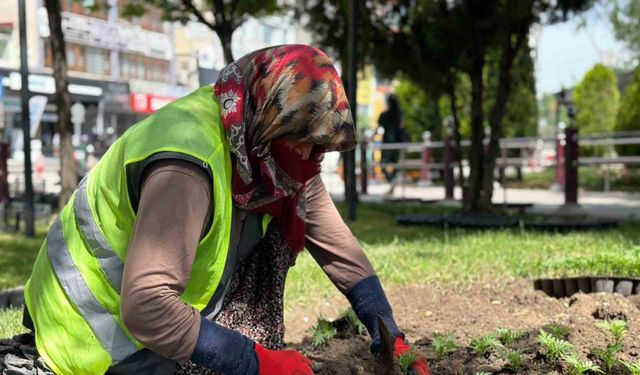 Sincan çiçeklerle donatıldı