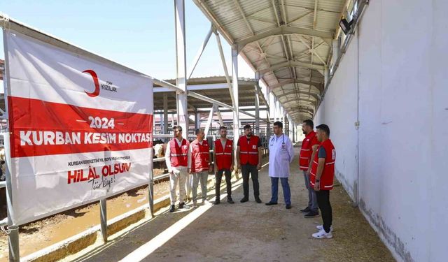 Türk Kızılay’ı yurtta ve 19 ülkede kurban kesimlerine başladı