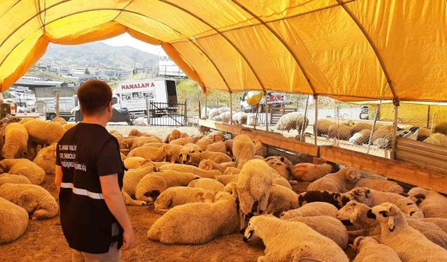 Umuma açık alanlarda kurban kesenlere ceza yağacak