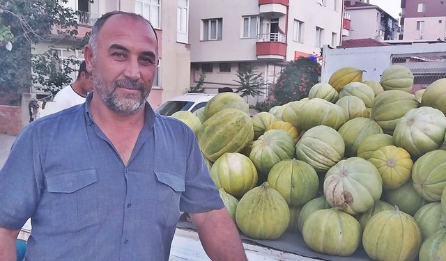 Lezzeti baş döndürüyor: Çorum'un bu ilçesinde meşhur '10 Dilim' kavunu hasadı başladı