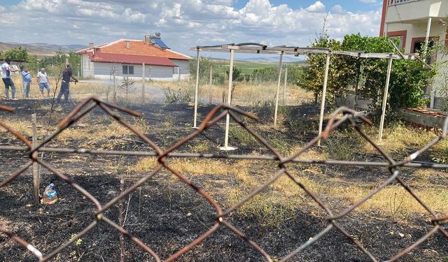 Alaca'daki yangın bahçeyi küle çevirdi