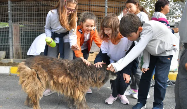 Beylikdüzü'nden o yasaya tepki!