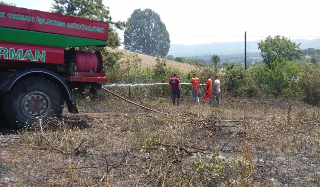 Bilecik’te arazi yangını! 1 kişi dumandan etkilendi