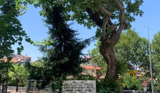 Bursa'da Mehmed Nakşi Çelebi türbesi görenlerin dikkatini çekiyor