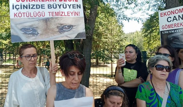 Keşan Hayvanları Koruma Derneği'nden Ötenazi Yasasına Karşı Büyük Tepki